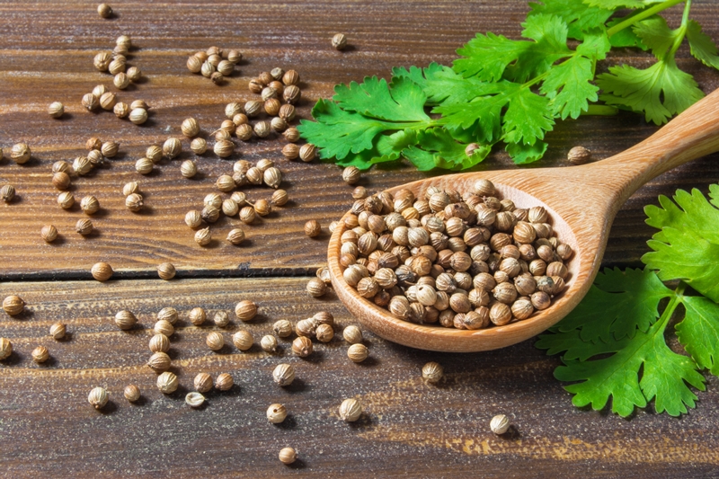Curare l’alimentazione sempre Curare l’alimentazione sempre