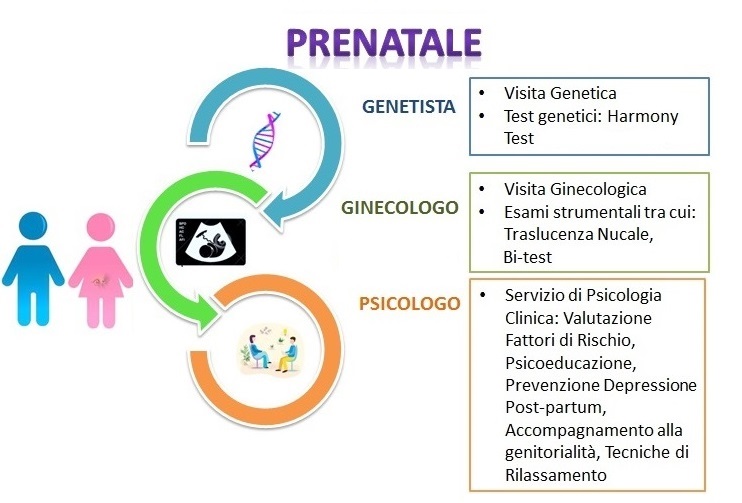 Prenatale