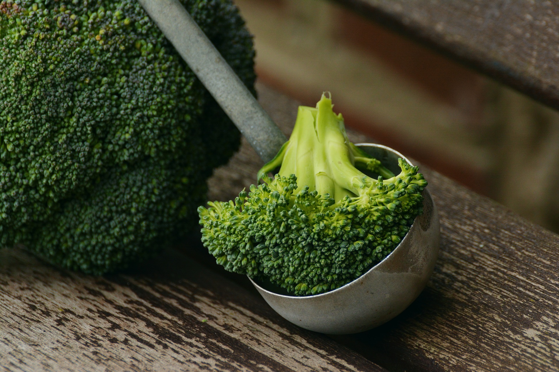 Broccoli Broccoli