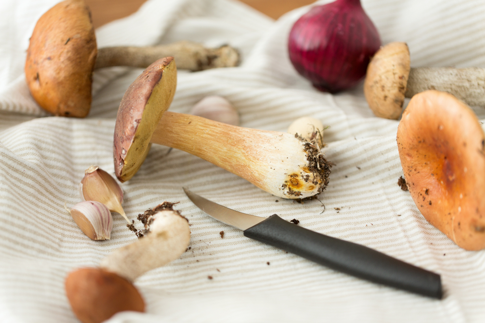 Funghi Funghi