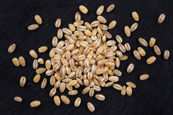 Orzo Orzo