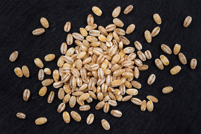 Orzo Orzo