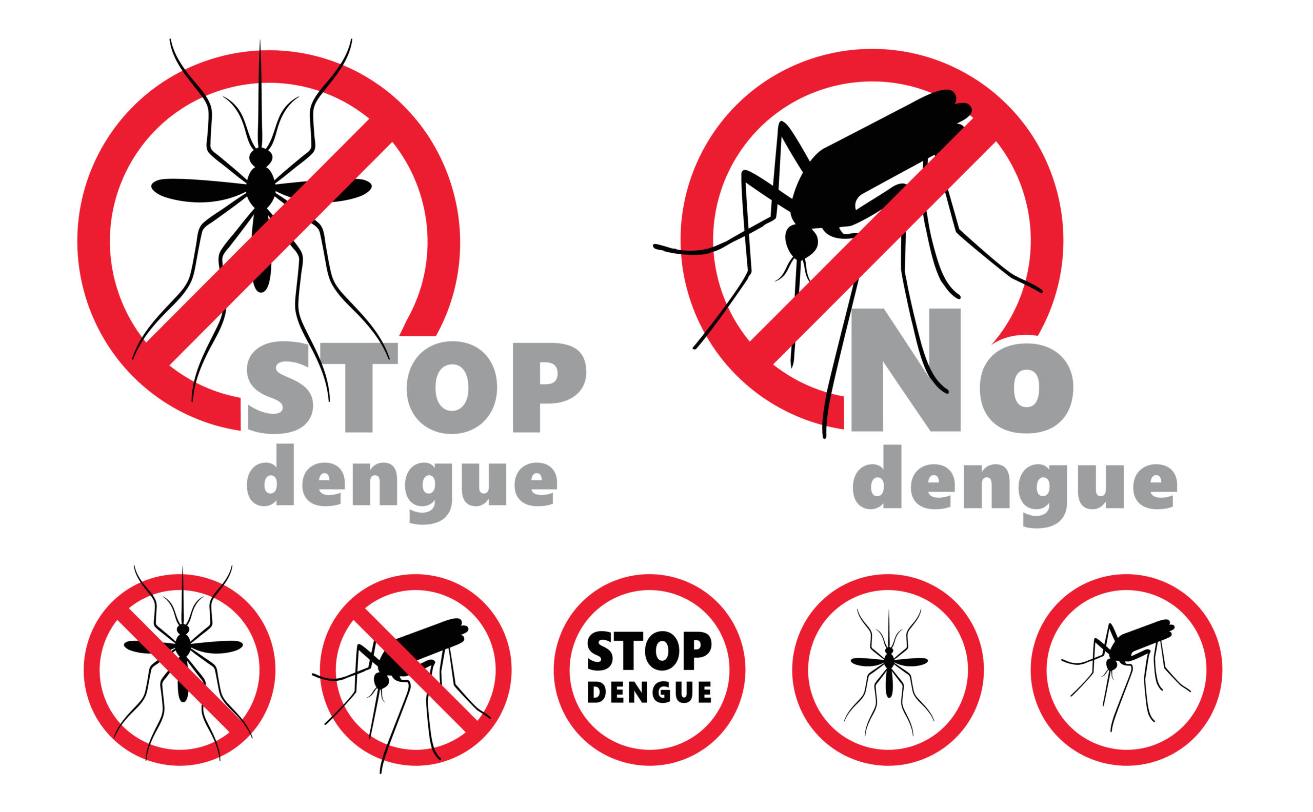 La Dengue