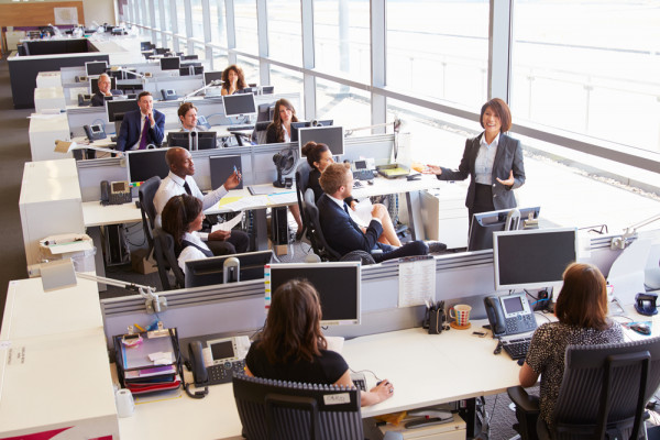 Ambiente di Lavoro