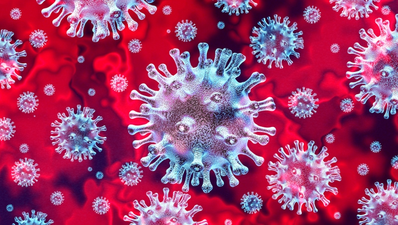 Coronavirus: cosa c'è da sapere Coronavirus: cosa c'è da sapere