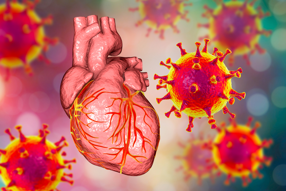 COVID-19 e apparato cardiovascolare: cosa abbiamo imparato dopo due anni di pandemia