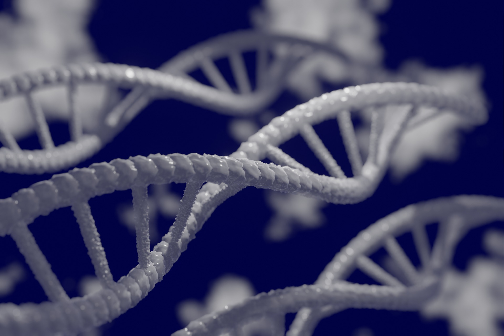 Carcinoma della mammella: un nuovo test genetico per le recidive Carcinoma della mammella: un nuovo test genetico per le recidive