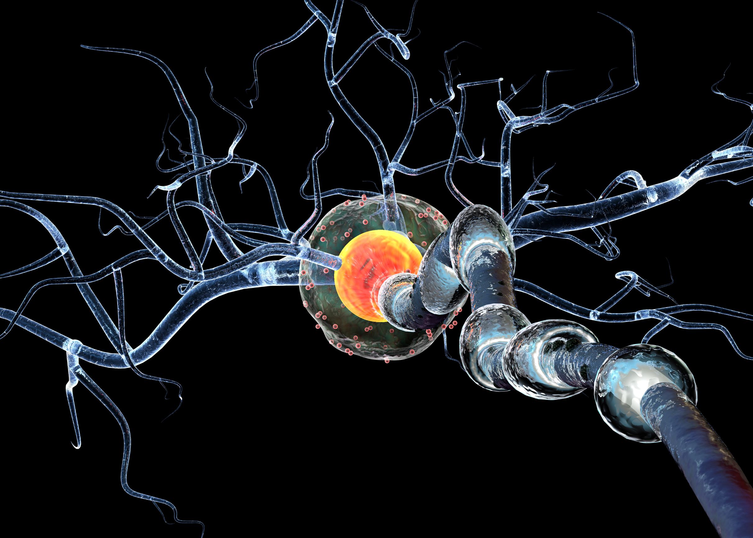 Il Centro per la Sclerosi Multipla e patologie correlate