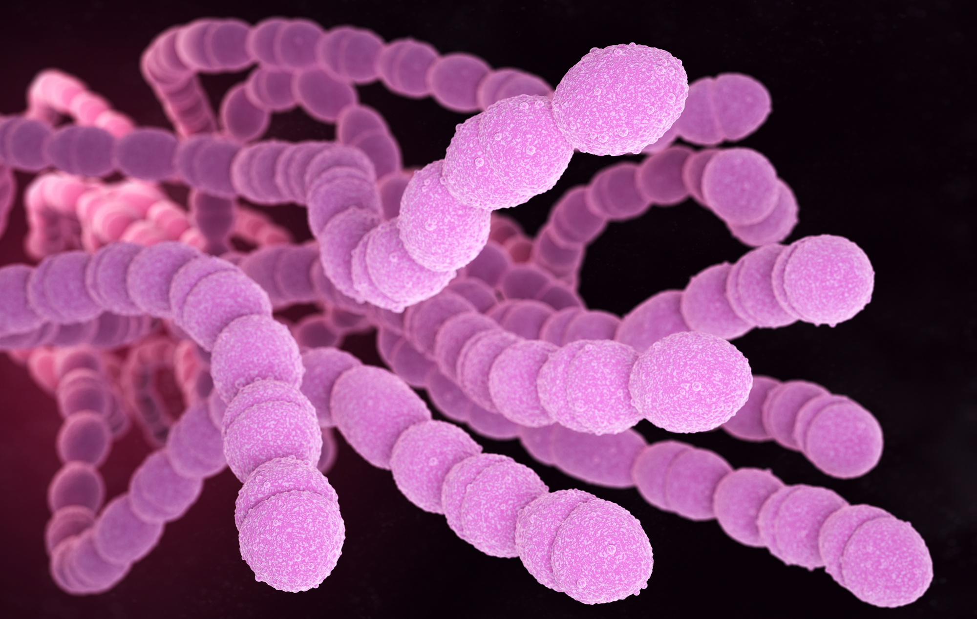 Il nuovo vaccino anti Streptococcus pneumoniae